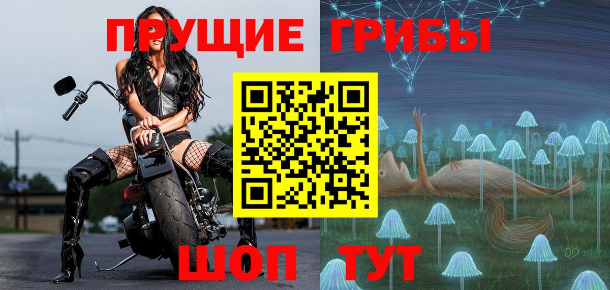 Псилоцибиновые грибы прущие грибы Клин